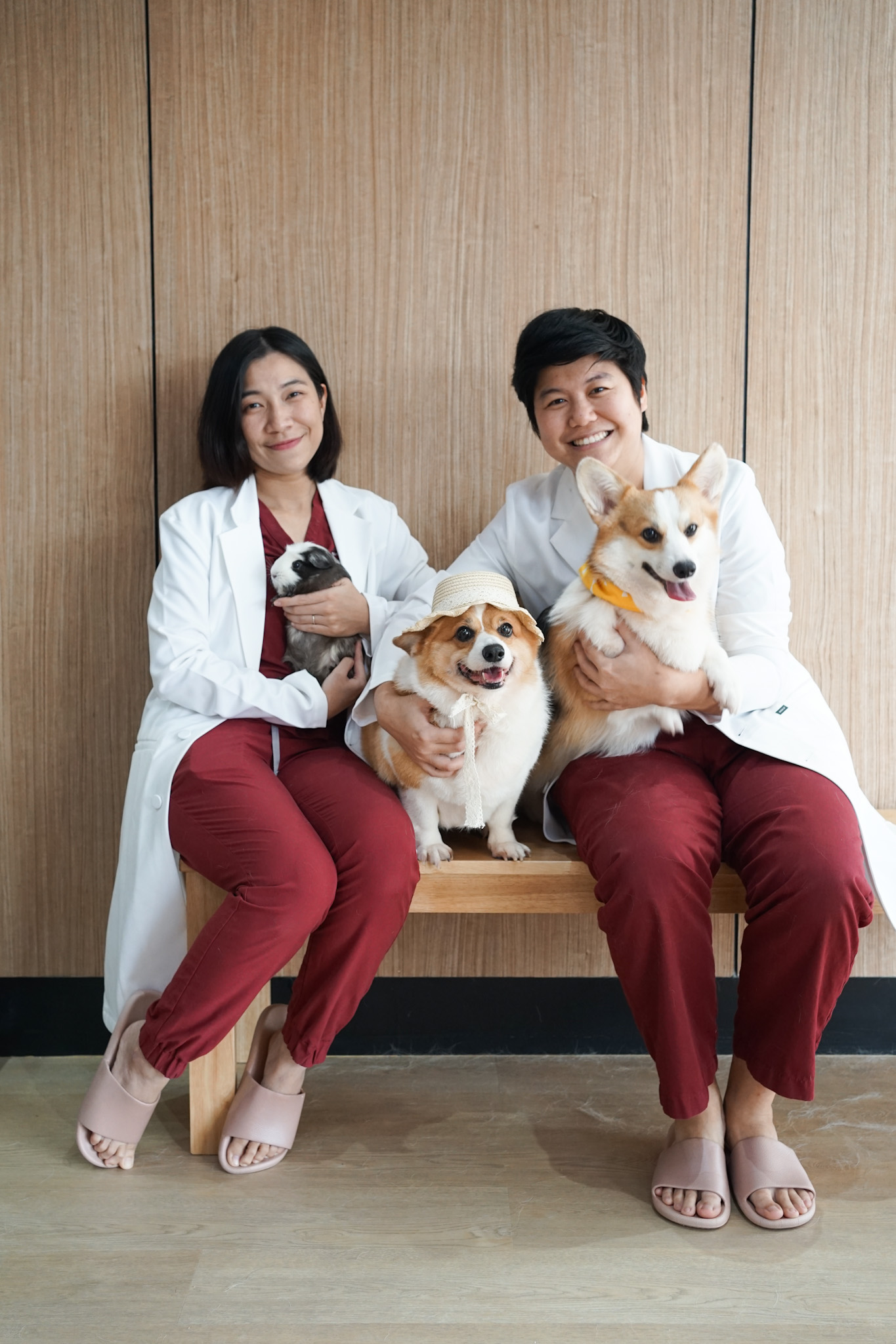 Pawstown veterinary team with pets